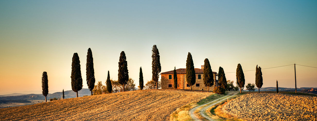 Italienische Weinlandschaft