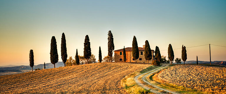Italienische Weinlandschaft
